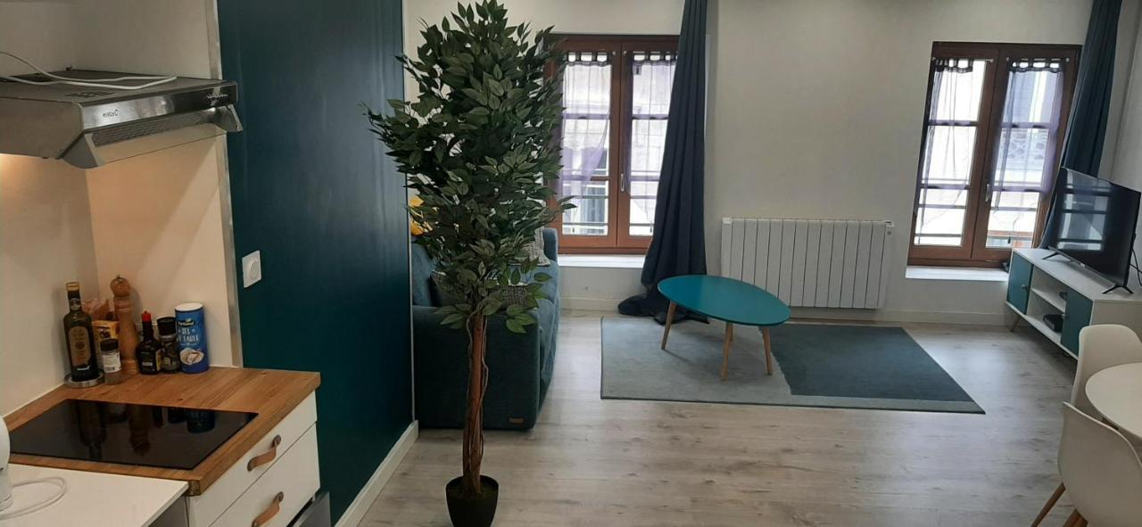 Appartement Netflix Centre De Vienne Pres De Lyon Kültér fotó